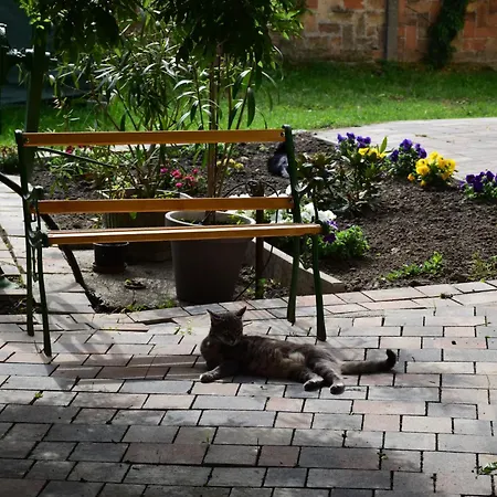 Séjour à la campagne Borostyán *